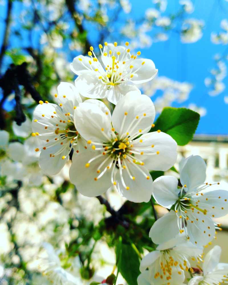 Photograph by Darko Milojevic