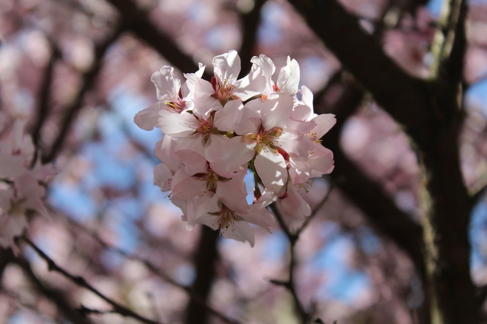 Фотография автора Natalia Khodina