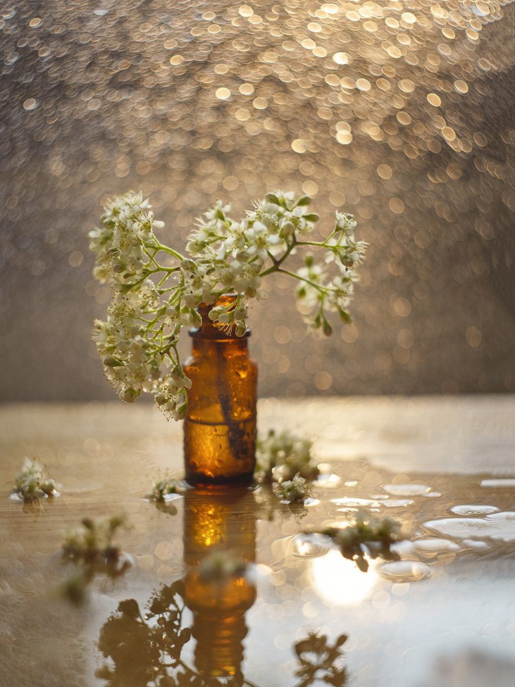 Photograph by Казанцев Алексей