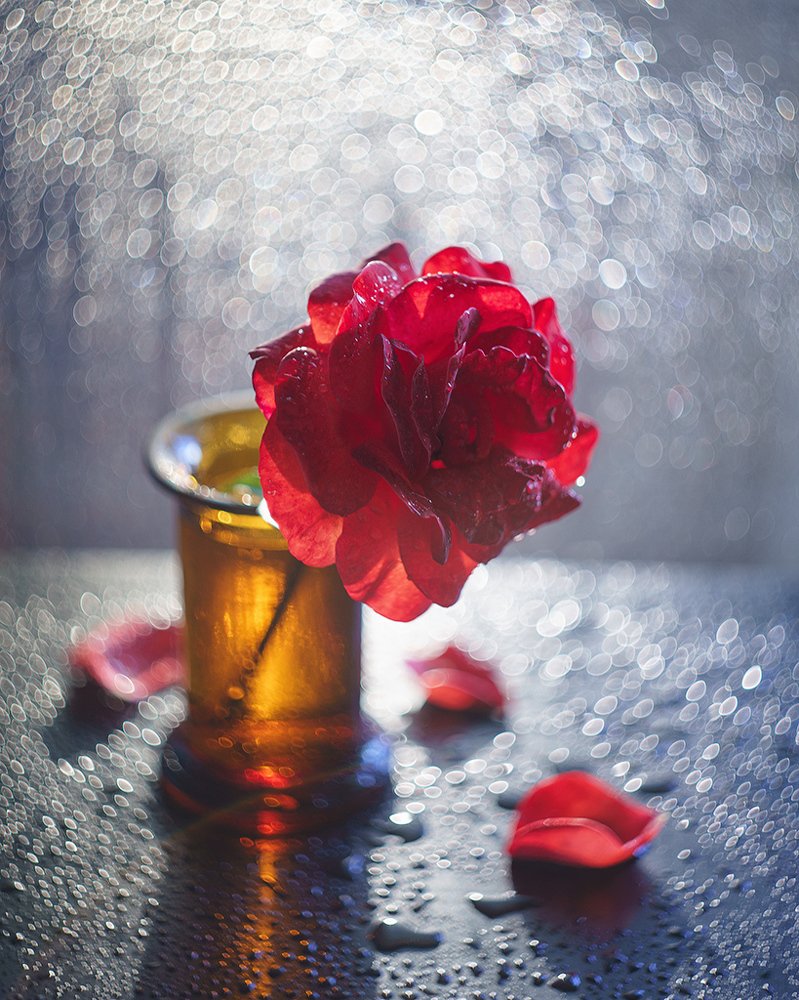 Photograph by Казанцев Алексей