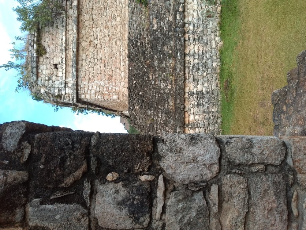 Photo #4524662