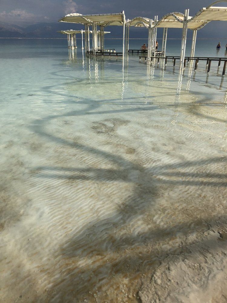 Dead not dead sea
