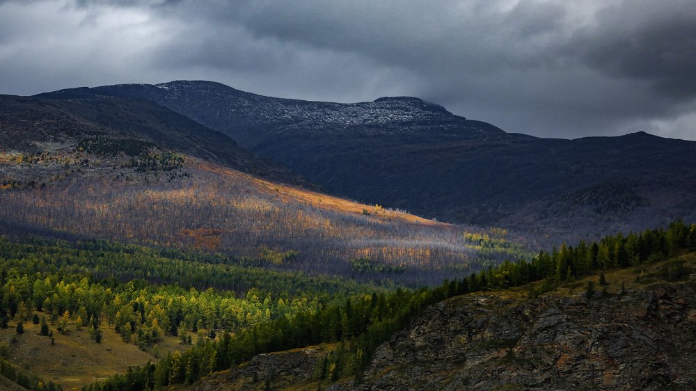 Photograph by Vladimir Schelkunov