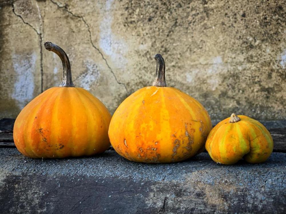 Photograph by Марина Неберекутина