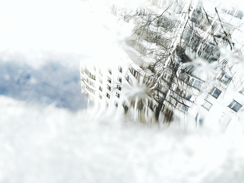 Photograph by Кристина Алексеенко