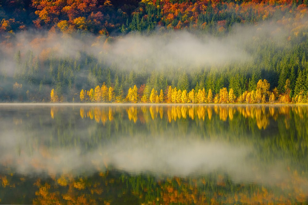 Photograph by Gabi Rusu