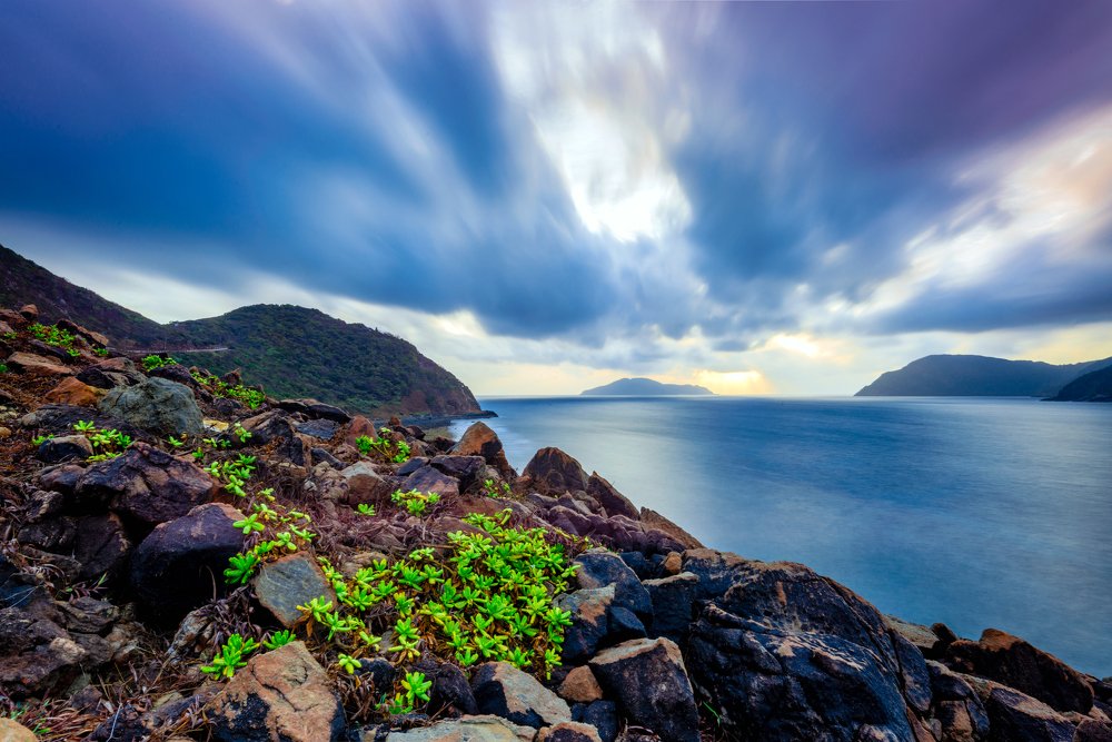 Photograph by Van Nguyen