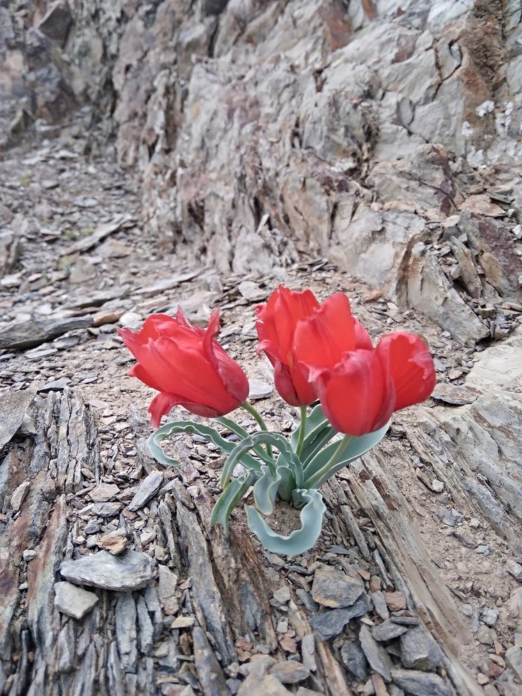 Photograph by Zakhiriddin Khidirov