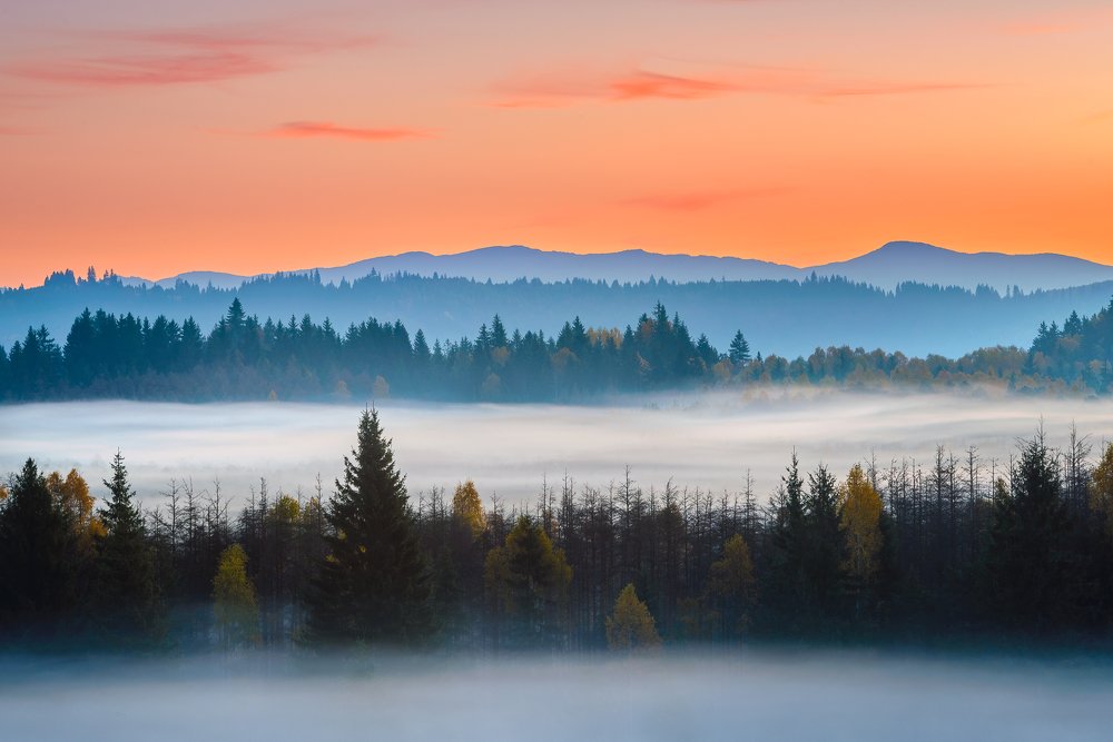 Photograph by Gabi Rusu