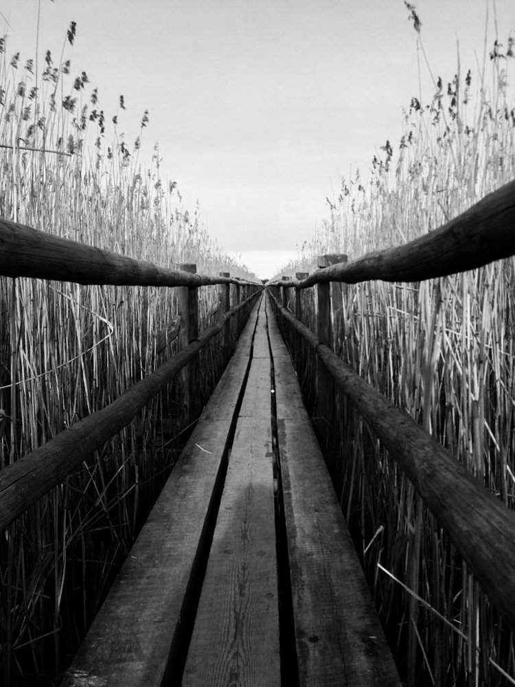 Photograph by Кристина Вингре