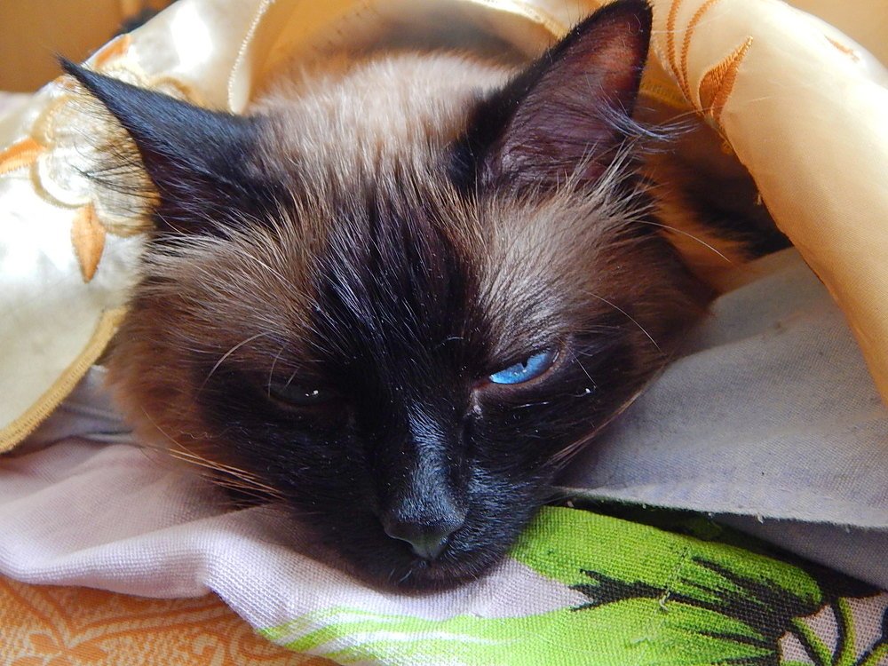 Photograph by Татьяна