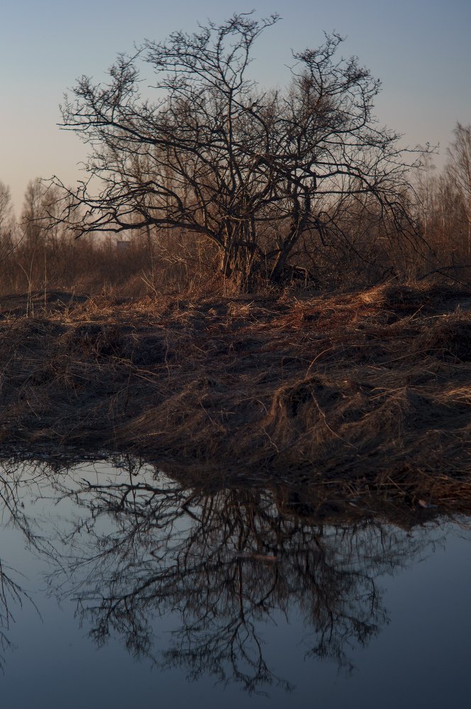 Photograph by Владимир Янчук
