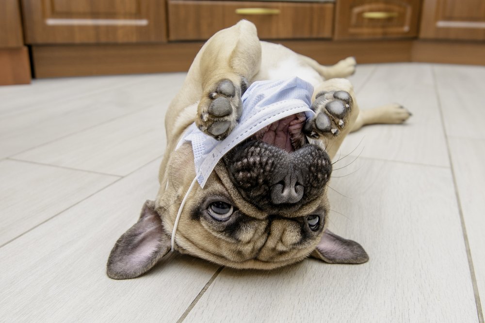 Photograph by Кадырова Марина