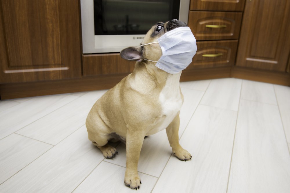 Photograph by Кадырова Марина