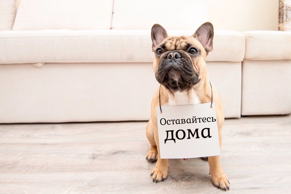 Photograph by Кадырова Марина