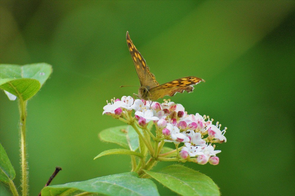 Photograph by Odysseas Christofides