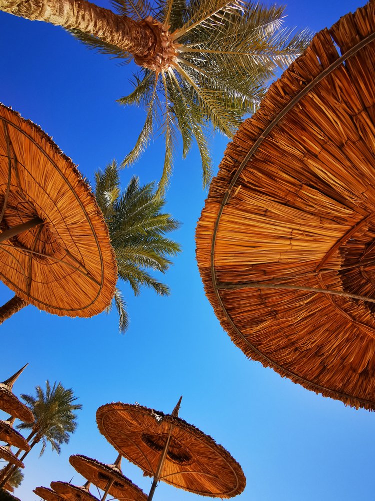 Photograph by Olena Anderson