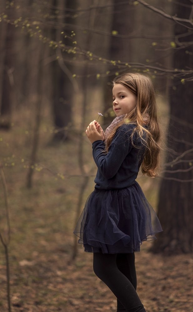 Прогулка в лесу