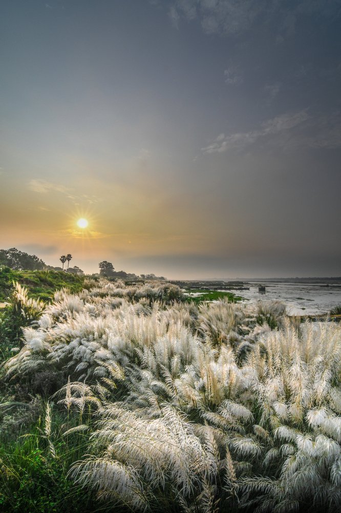 Photograph by Abhishek Mandal