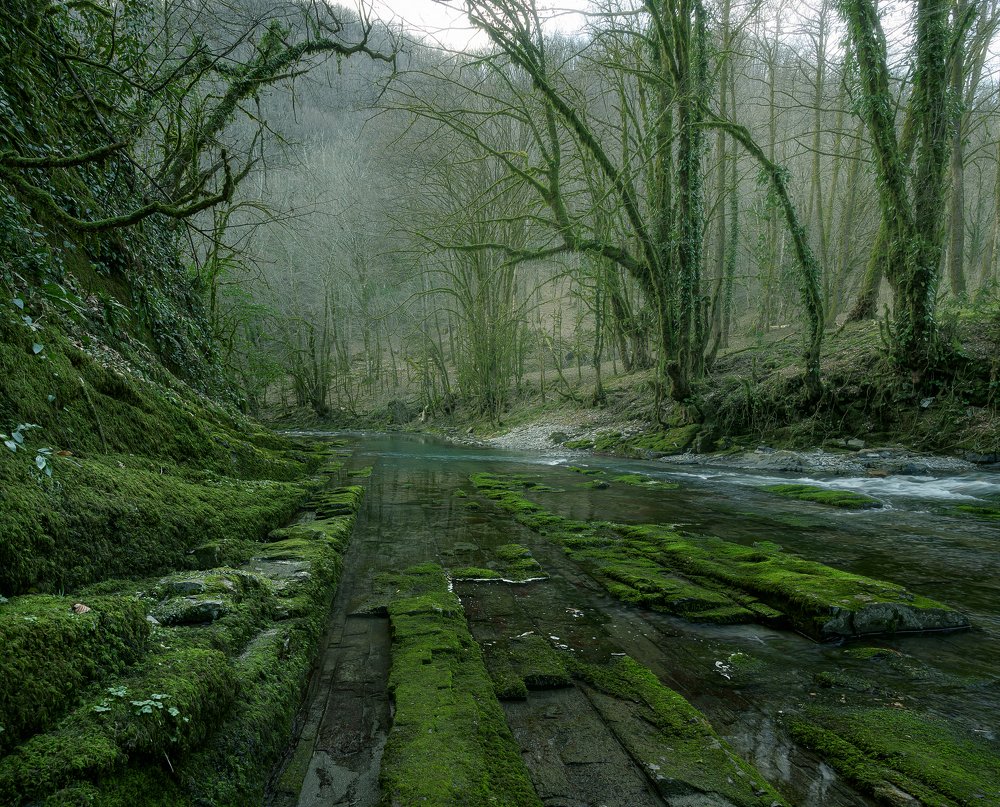 Photograph by Олег Иваницкий