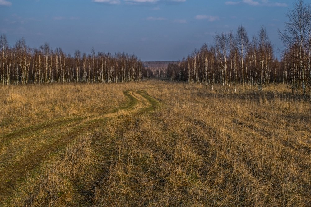 Весенняя дорога