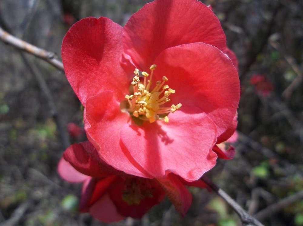 Photograph by Георги Колев