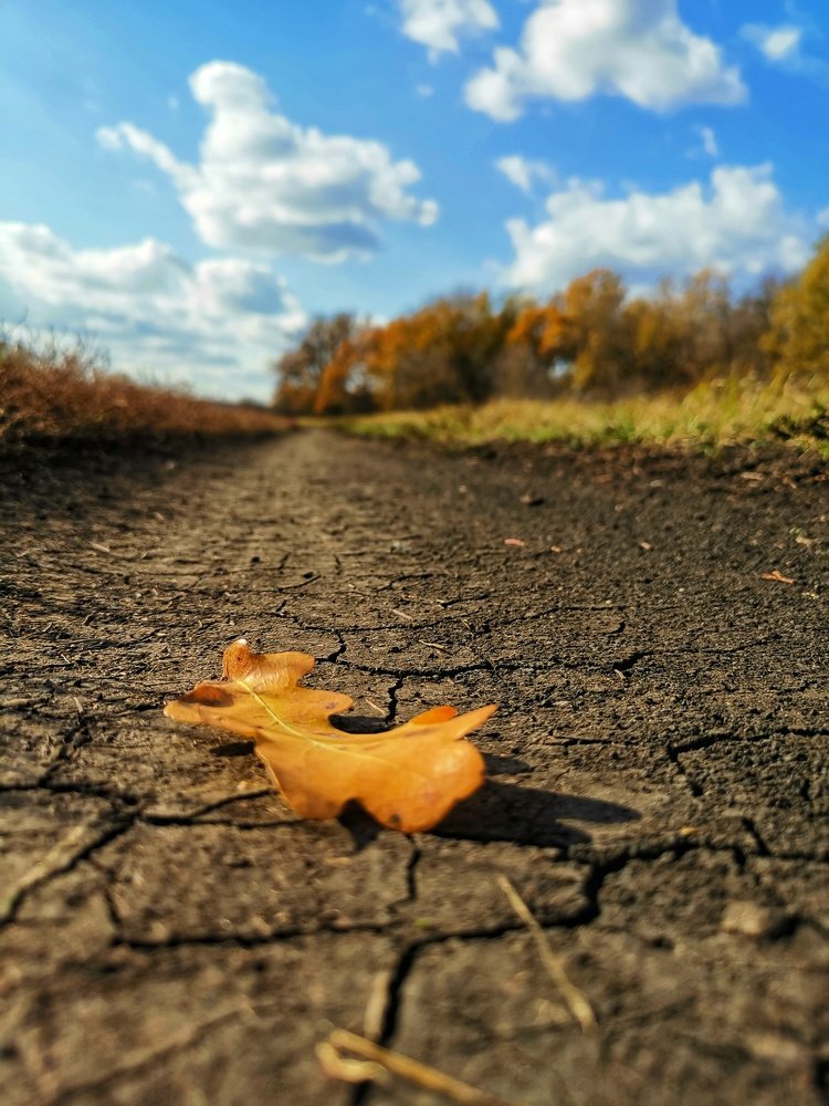 Photograph by Владимир Прорешный