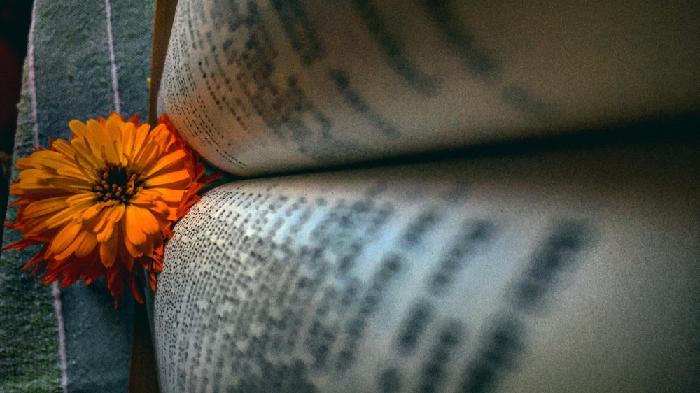 Mystère de la Bible