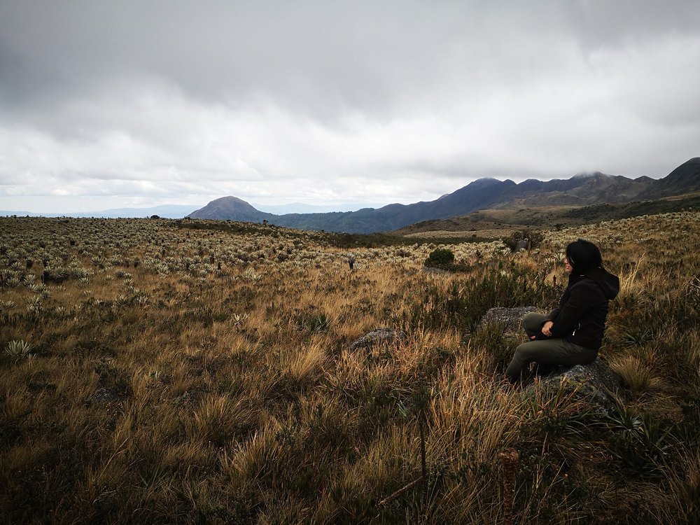 Colombian paramo
