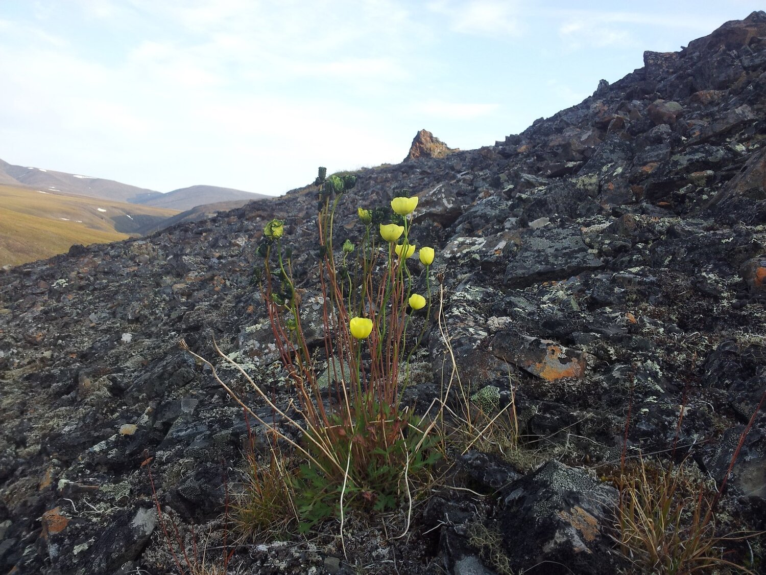 Photo #4526206