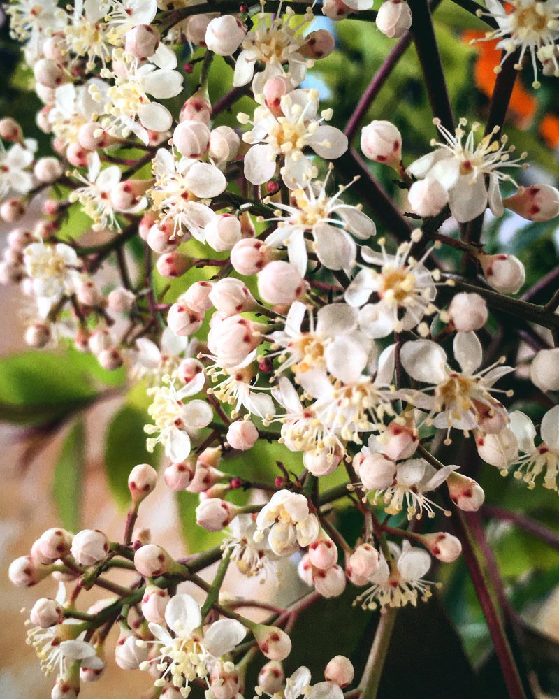 Photograph by Любомир Пецюх