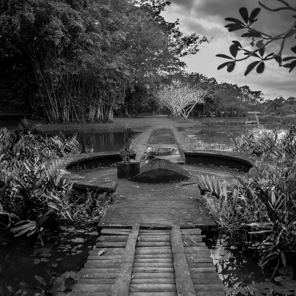 Photograph by pouyan safavi