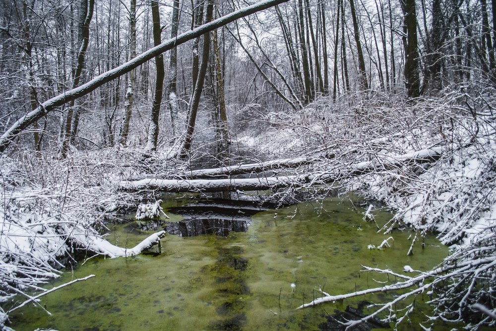 Фотография автора Алексей Самойлов