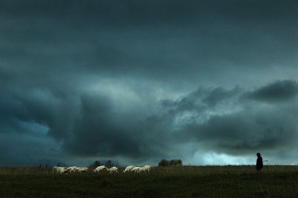 Photograph by Юлия Трап