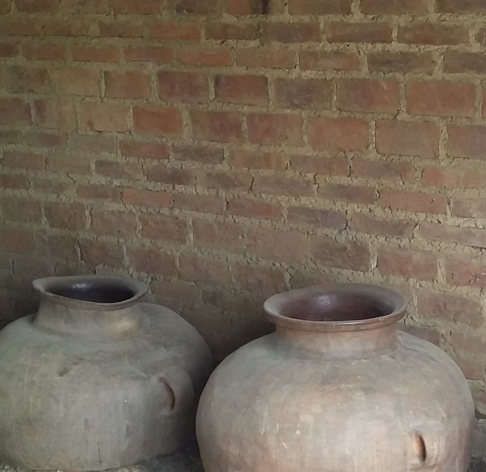 Фотография автора Adriana Rocha