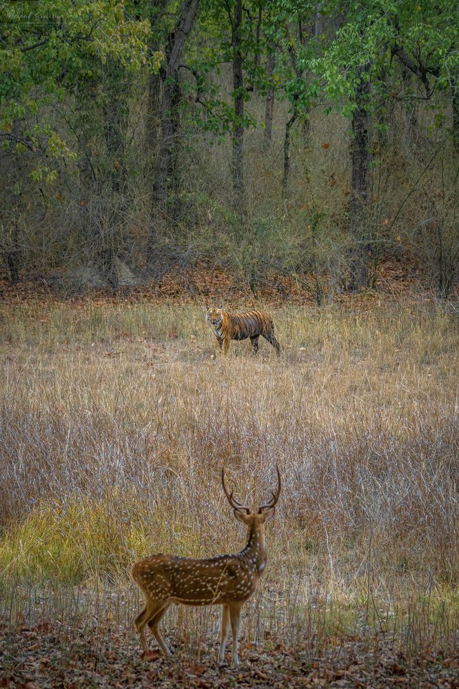Photograph by Vipul Saxena