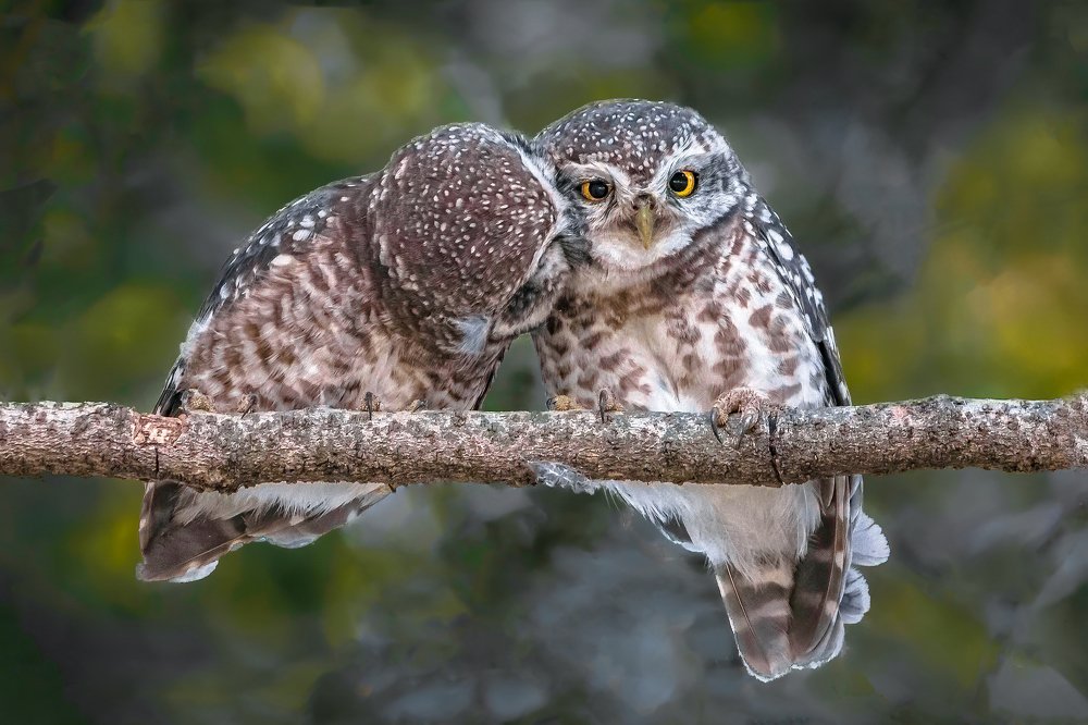 I always missed you .....!