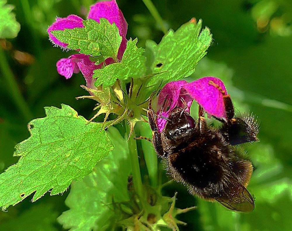 Photograph by Natasha Efanova