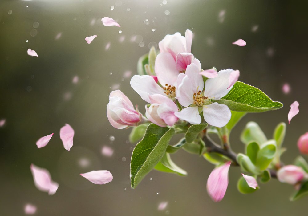 Photograph by Александр Варакин