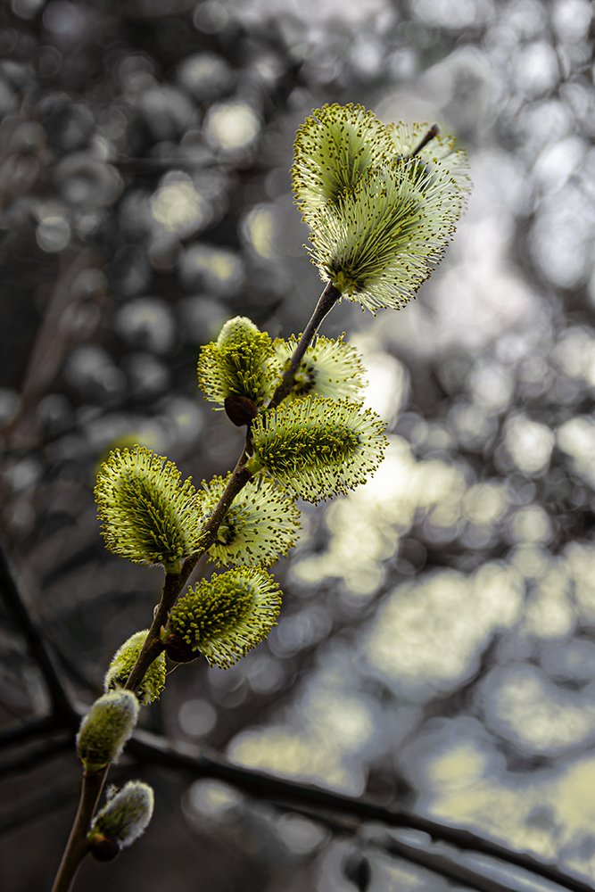 Photograph by Ольга Усова