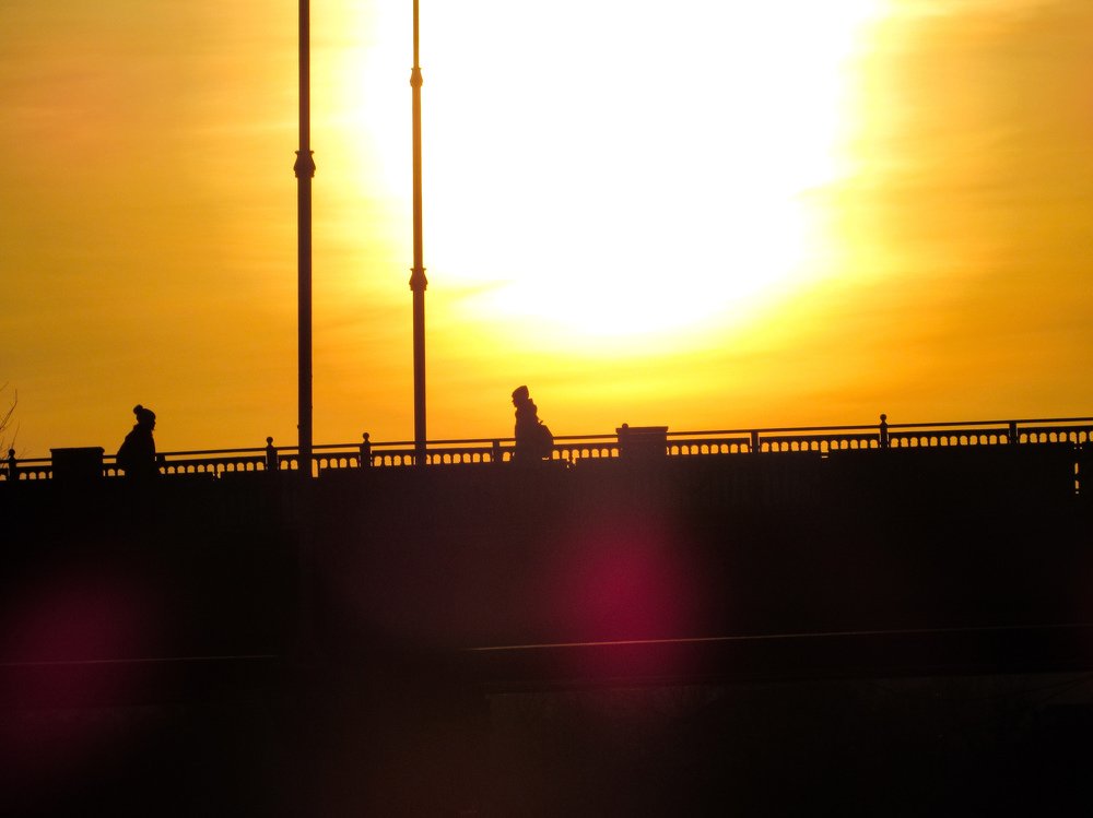 Photo #4526786