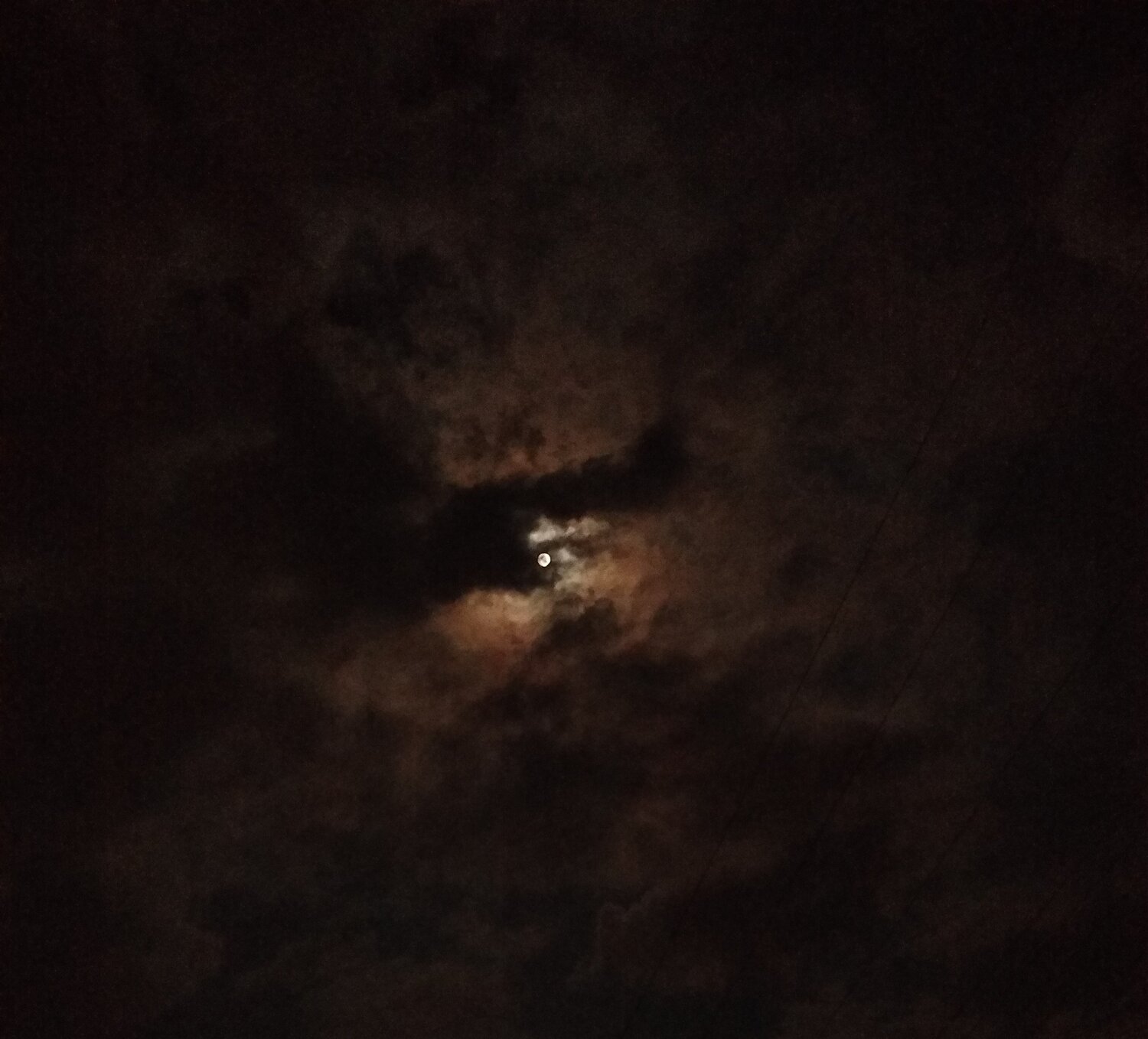 Photo #4526925