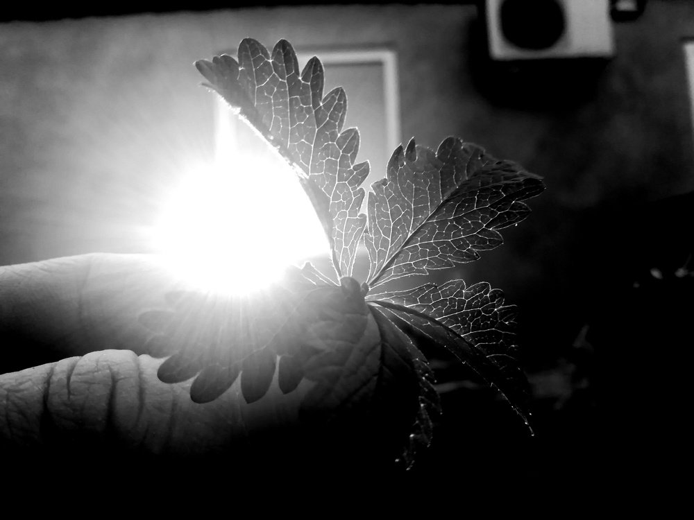 Photograph by Патя Гасанова