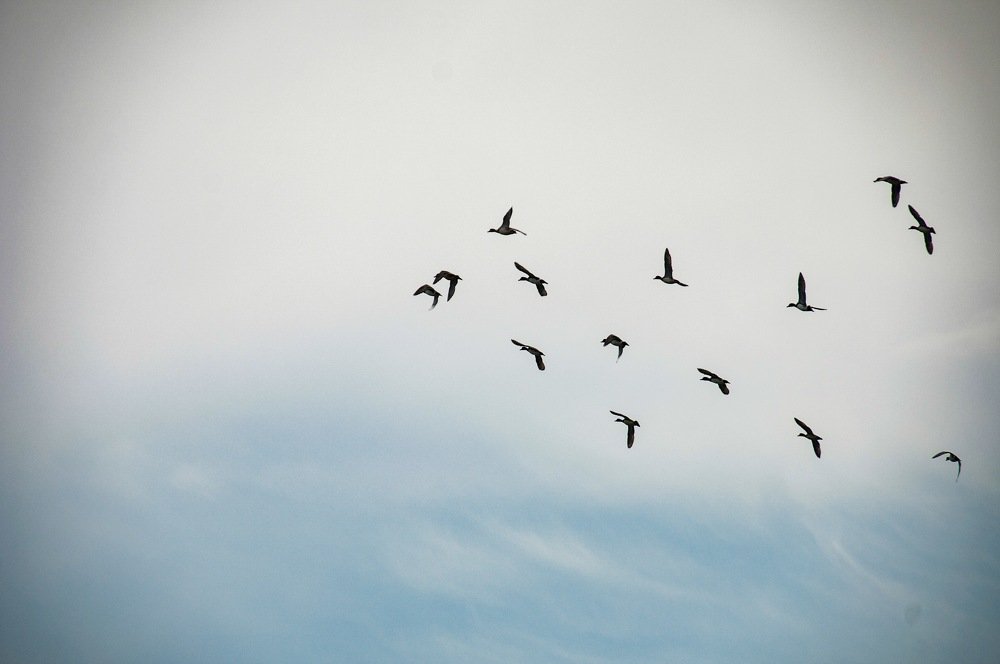 Photograph by Алена Котова