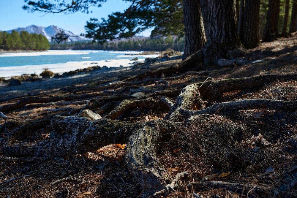 Photograph by Михаил Рогачев