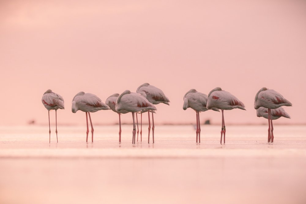 Photograph by Piotr Warzecha