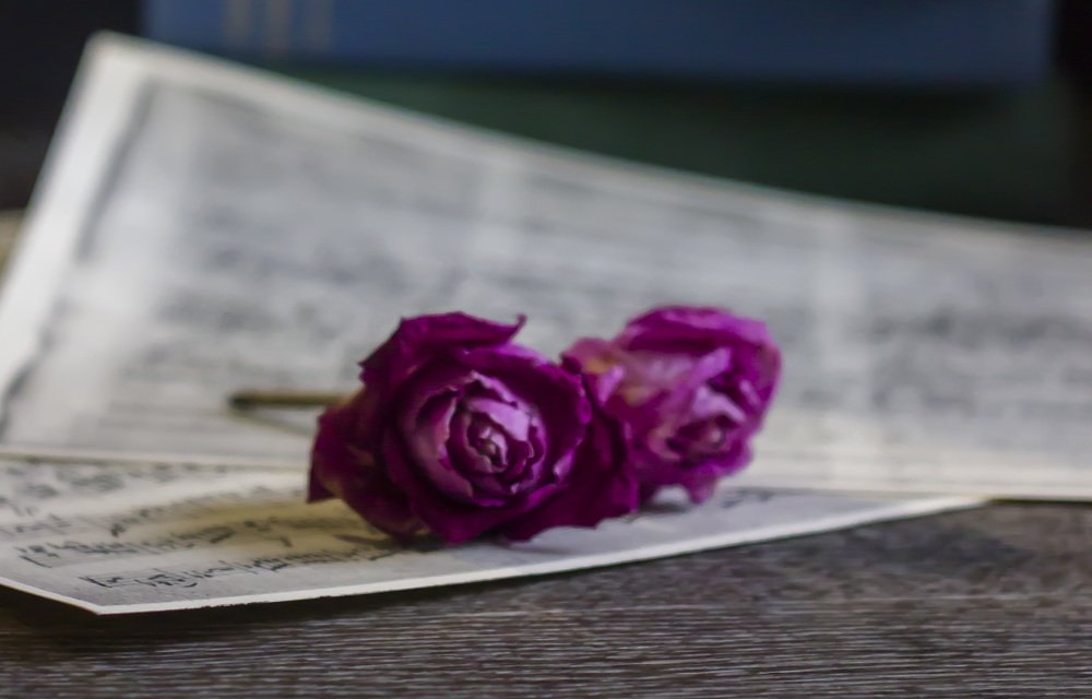 Photograph by Anna Gapanovich