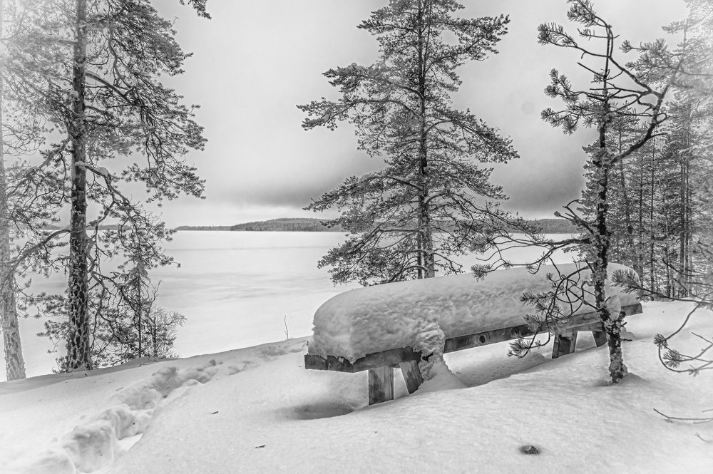 Photograph by Игорь Камов