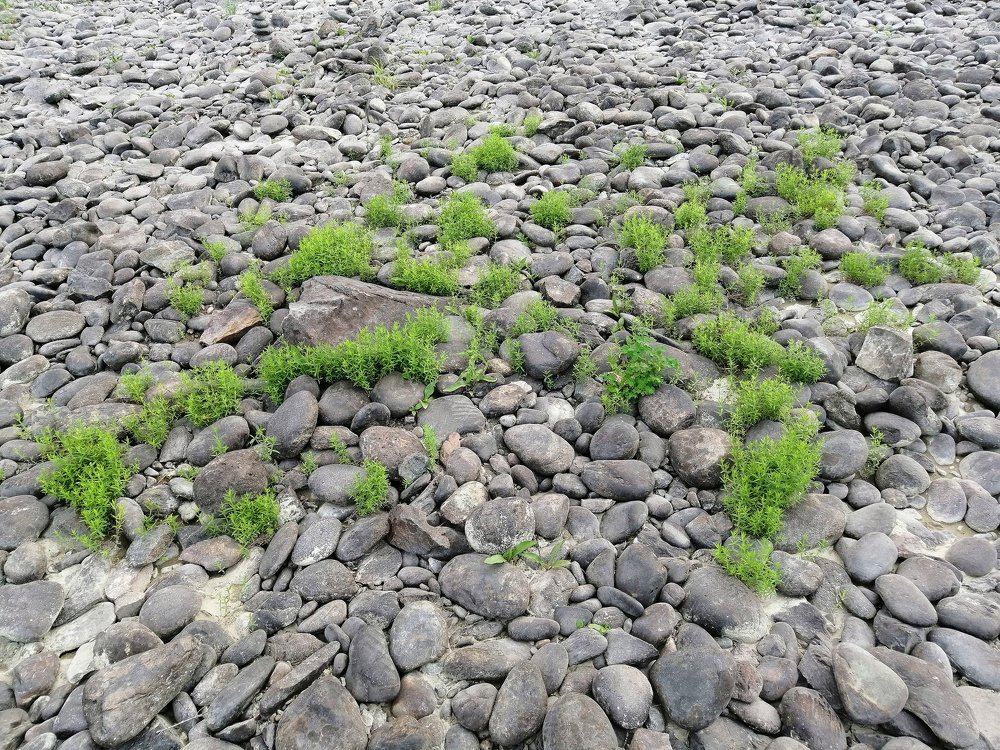 Photograph by Ольга Деньгина
