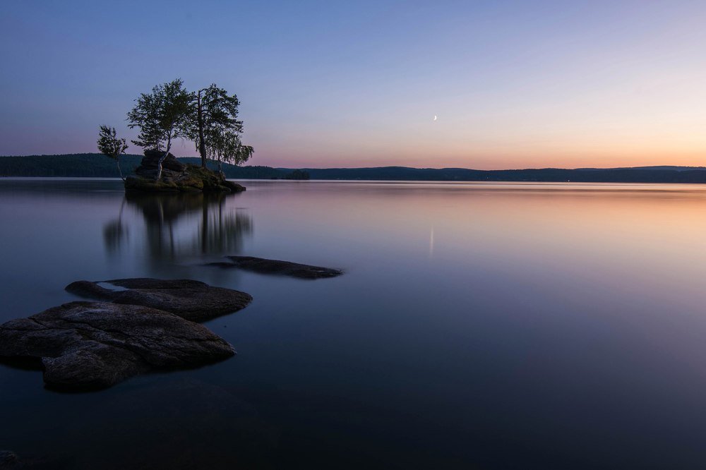 Бонсай по уральски.